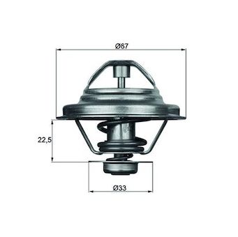 Termostat, chladivo MAHLE TX 24 87D