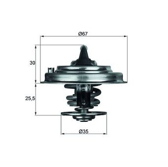 Termostat, chladivo MAHLE TX 30 80D