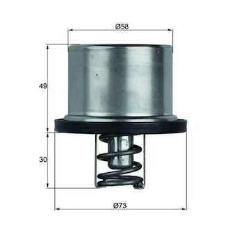 Termostat, chladivo MAHLE TX 37 79