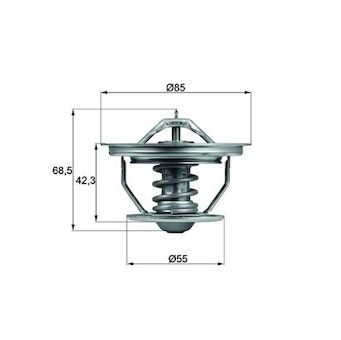 Termostat, chladivo MAHLE TX 57 71