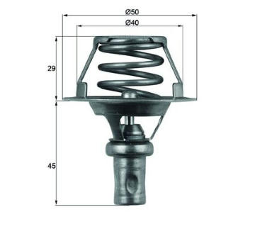 Termostat, chladivo MAHLE TX 66 91D