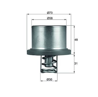 Termostat, chladivo MAHLE THD 2 89