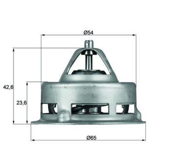 Termostat, chladivo MAHLE TX 2 75