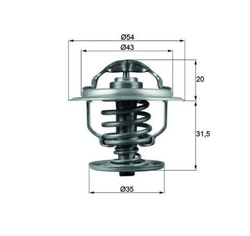 Termostat, chladivo MAHLE TX 109 87D