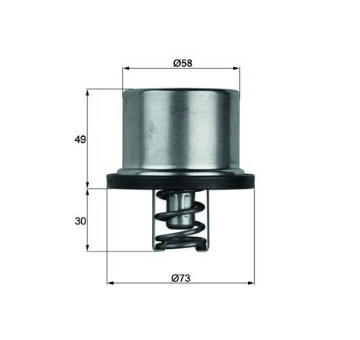 Termostat, chladivo MAHLE ORIGINAL THD 1 79