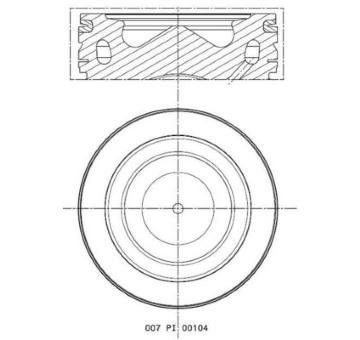 Píst MAHLE 007 PI 00104 000