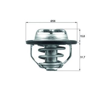 Termostat, chladivo MAHLE TX 122 82