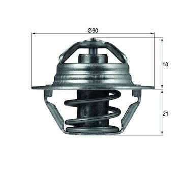 Termostat, chladivo MAHLE TX 100 89D