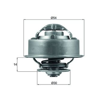 Termostat, chladivo MAHLE TX 124 87D