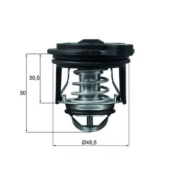 Termostat, chladivo MAHLE TI 246 50