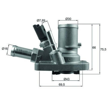 Termostat, chladivo MAHLE TI 258 80