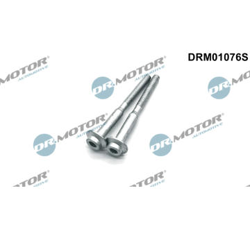 Šroub, držák vstřikovací trysky LIZARTE DRM01076S