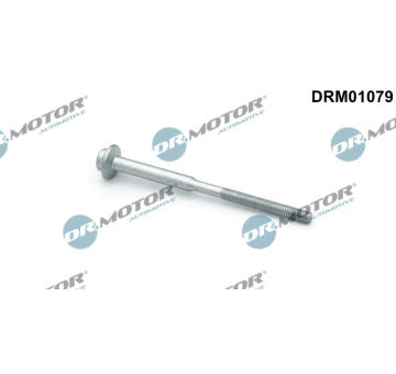 Šroub, držák vstřikovací trysky LIZARTE DRM01079
