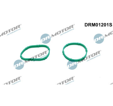 Sada těsnění, koleno sacího potrubí LIZARTE DRM01201S