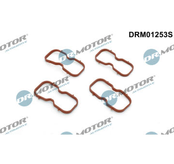 Sada těsnění, koleno sacího potrubí LIZARTE DRM01253S