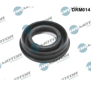 Těsnění, držák trysky LIZARTE DRM014