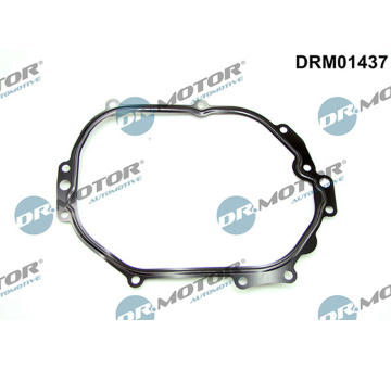 Těsnění, kryt rozvodového ústrojí LIZARTE DRM01437