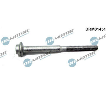 Šroub, držák vstřikovací trysky LIZARTE DRM01451