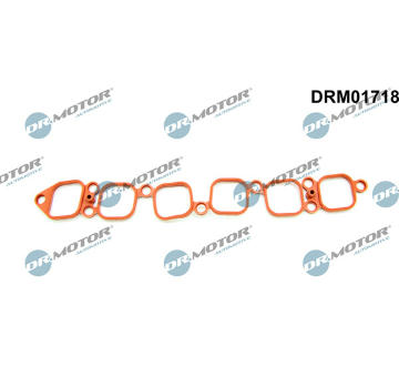 Těsnění, koleno sacího potrubí LIZARTE DRM01718