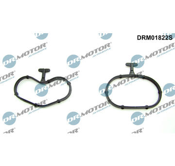 Sada těsnění, chladič oleje LIZARTE DRM01822S