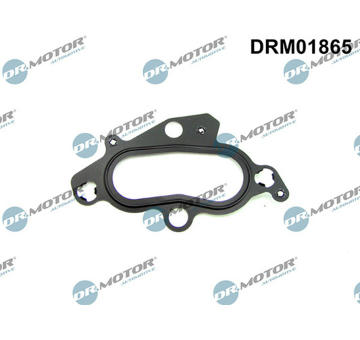 Těsnění, pouzdro termostatu LIZARTE DRM01865