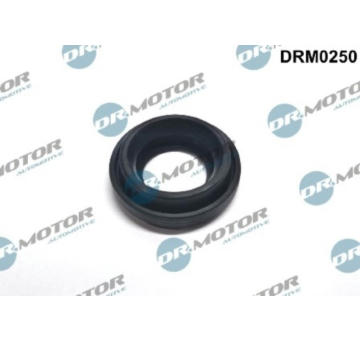 Těsnění, držák trysky LIZARTE DRM0250