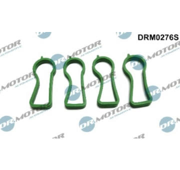 Sada těsnění, koleno sacího potrubí LIZARTE DRM0276S