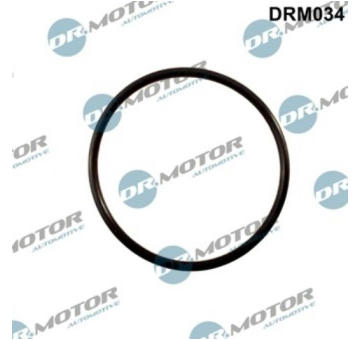 Těsnění, koleno sacího potrubí LIZARTE DRM034