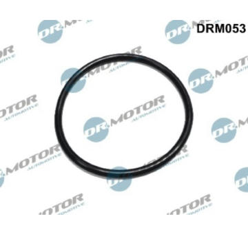 Těsnění, palivový filtr LIZARTE DRM053