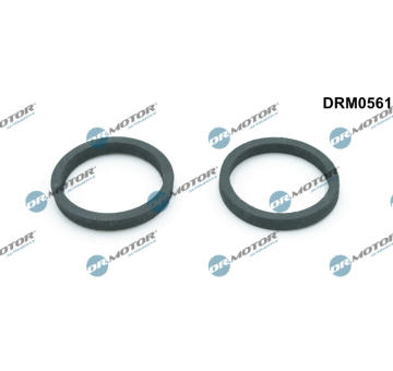 Těsnění, chladič oleje LIZARTE DRM0561
