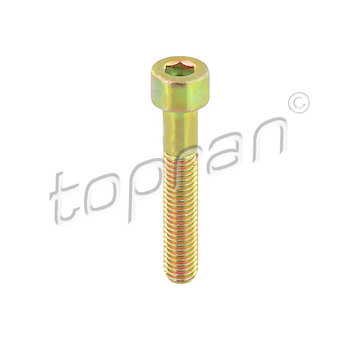 Sroub, brzdovy trmen TOPRAN 110 708