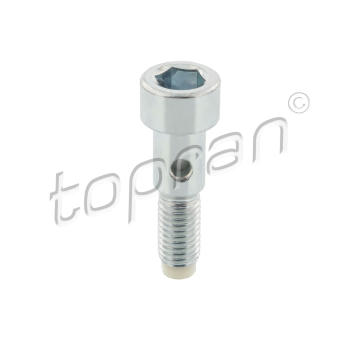 Dutý šroub TOPRAN 305 964