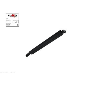 Rameno sterace, cisteni skel AUTOMEGA 100040110