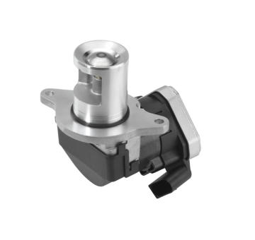 AGR-Ventil BorgWarner 710023D