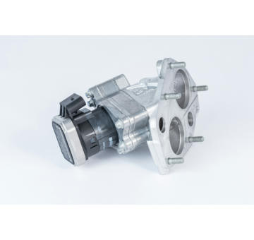 AGR - Ventil BorgWarner 710072D