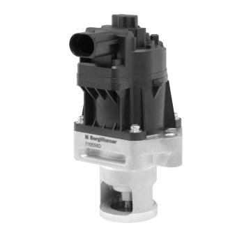 AGR-Ventil BorgWarner 710559D