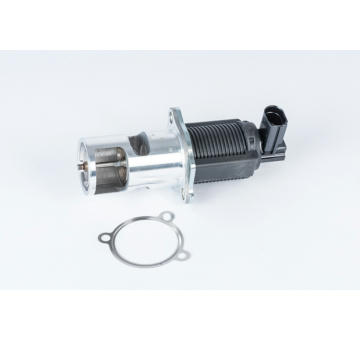 AGR-Ventil BorgWarner 710723D
