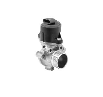 AGR - Ventil BorgWarner 710753D
