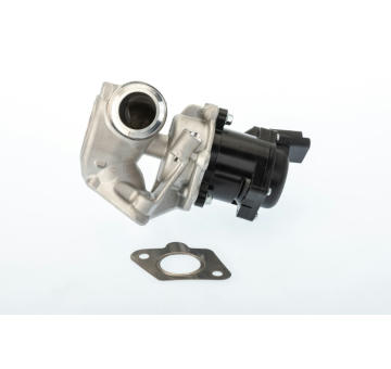 AGR-Ventil BorgWarner 710929D