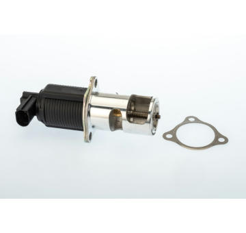 AGR-Ventil BorgWarner 710950D