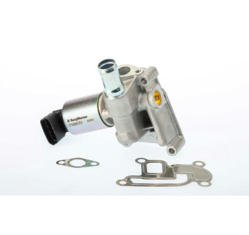 AGR-Ventil BorgWarner 710957D/1