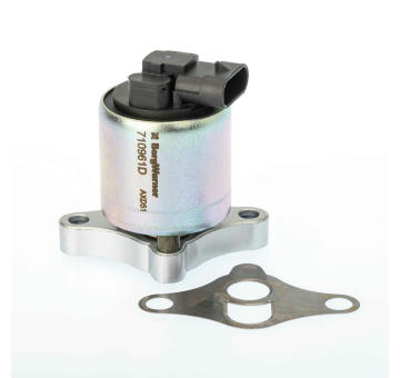 AGR-Ventil BorgWarner 710961D