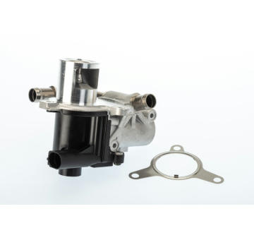 AGR-Ventil BorgWarner 710965D