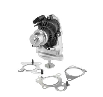 AGR-Ventil BorgWarner 710980D