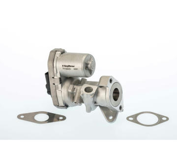 AGR-Ventil BorgWarner 711022D/1