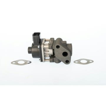 AGR - Ventil BorgWarner 711024D