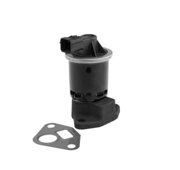 AGR - Ventil BorgWarner 712061D