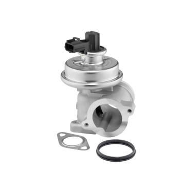 AGR - Ventil BorgWarner 712064D