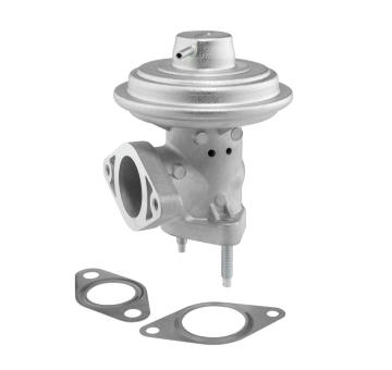 AGR - Ventil BorgWarner 712065D