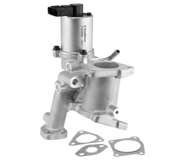 AGR-Ventil BorgWarner 712066D
